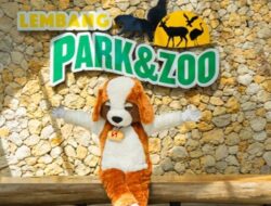 SCHOOL HOLIDAY DENGAN PAKET BUNDLING DI SWISS-BELRESORT DAGO HERITAGE BANDUNG