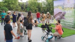 Memperingati World Turtle Day: Kenalan dengan Kura-Kura di Reptile Island