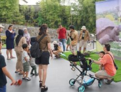 Memperingati World Turtle Day: Kenalan dengan Kura-Kura di Reptile Island