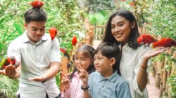 School Holiday Package: Saatnya Liburan Edukatif dan Seru di Puncak