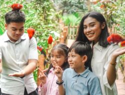 School Holiday Package: Saatnya Liburan Edukatif dan Seru di Puncak