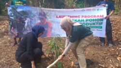 Manfaatkan Lahan Tanah, Dompet Duafa Gandeng Pesantren Al Ihsan Banten Gerakan Sedekah Pohon