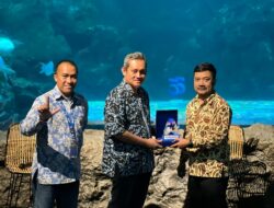 Sea World Ancol Rayakan Ulang Tahun ke-33: Hadirkan Biota Baru Ikan Hiu Berjalan