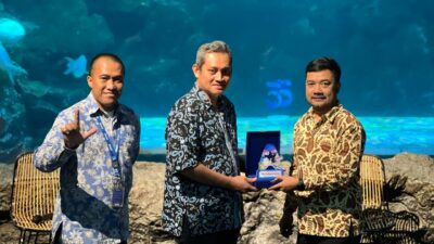 Sea World Ancol Rayakan Ulang Tahun ke-33: Hadirkan Biota Baru Ikan Hiu Berjalan