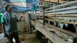 Bantu Peternak Domba, Dompet Dhuafa Perkuat Kembangkan Program Jantara