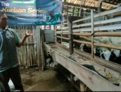Bantu Peternak Domba, Dompet Dhuafa Perkuat Kembangkan Program Jantara