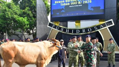 Wadanpushidrosal Serahkan Hewan QurbanKepada Panitia Qurban Idul Adha 1447 H/2026 M Pushidrosal