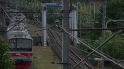 Semua Akan Baik Baik Saja Ditonton 1 Juta Penonton,Pilihan Reflektif Keluarga Indonesia di Idul Adha