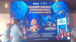 Rasakan Sensasi Bermalam di Dunia Bawah Laut Lewat Camping Under The Sea: Night Ranger