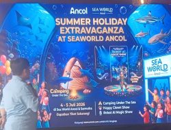 Rasakan Sensasi Bermalam di Dunia Bawah Laut Lewat Camping Under The Sea: Night Ranger
