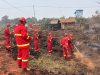 Musim Mas Kerahkan lebih dari 1.000 personel, dukung pemadaman di desa sekitar, hingga buka posko kesehatan bagi masyarakat terdampak asap